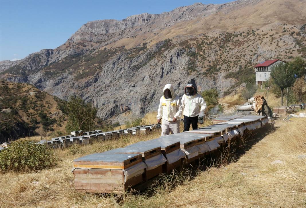Terörün susturduğu köy, arılarla tekrar hayat buldu 2